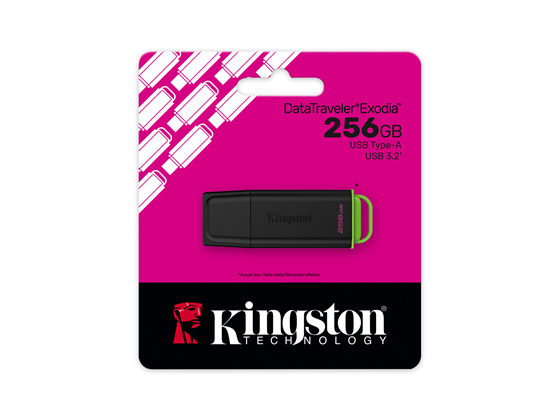 Kingston - MEMORIA USB 256GB KINGSTON, (DTXG2/256GB)