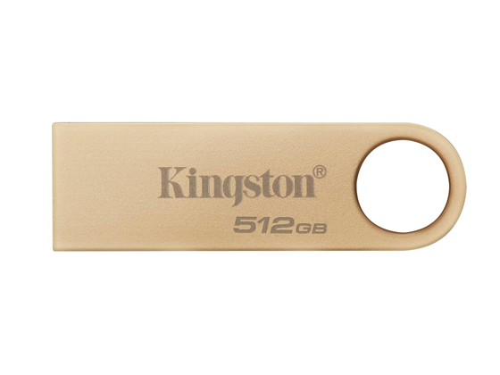 Kingston - DTSE9G3/512GB