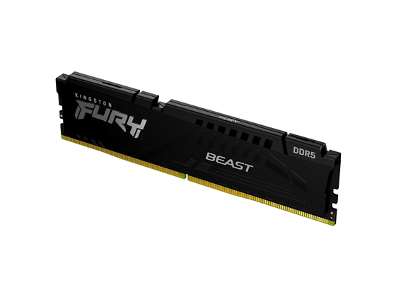 Kingston - KF556C40BB-16 - MEMORIA 16GB (1X8GB)