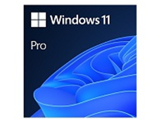 Microsoft - MICROSOFT WINDOWS PRO 11 64BIT ESD